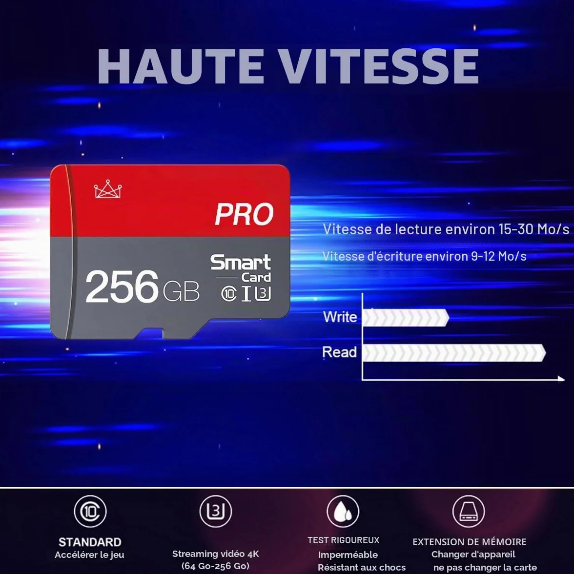 Lot de 2 cartes mémoire Micro SD 256 Go Classe 10 Haute Vitesse avec adaptateur Mini SD